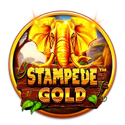 br31 bet635 cassino livre